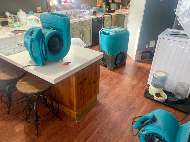 Best Basement water damage restoration  in Downingtown, PA