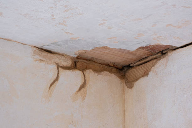 Best Ceiling water damage repair  in Downingtown, PA