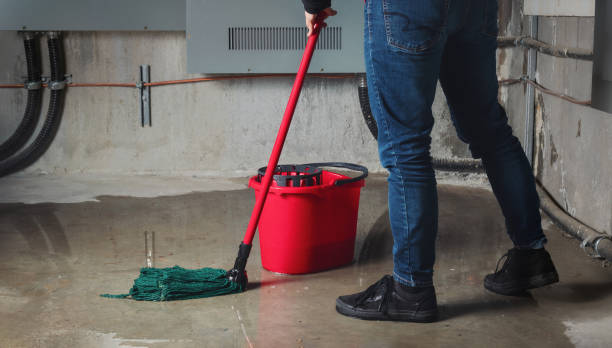 Best Flood restoration services  in Downingtown, PA