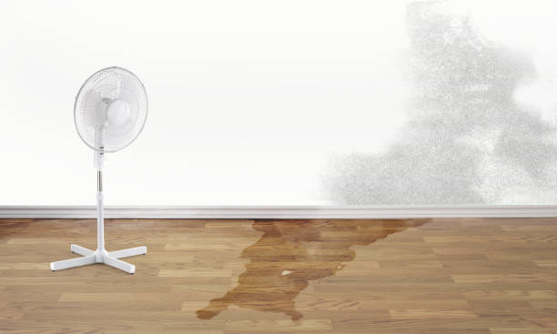 Best Carpet water damage restoration  in Downingtown, PA