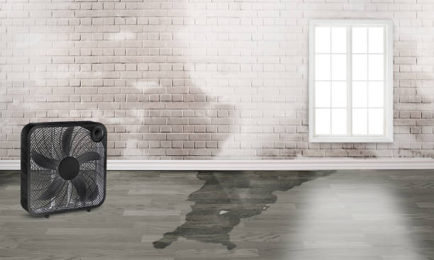 Best Emergency water damage restoration  in Downingtown, PA