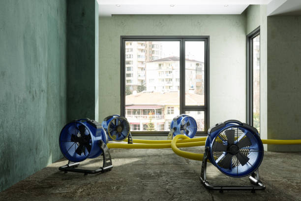Best Carpet water damage restoration  in Downingtown, PA
